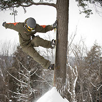 Snowboard Edelweiss